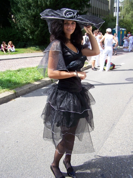 Vollbild Street Parade