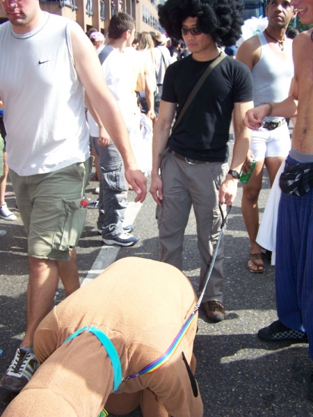 Vollbild Street Parade