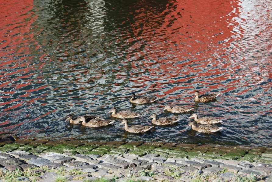 Hafenwelten