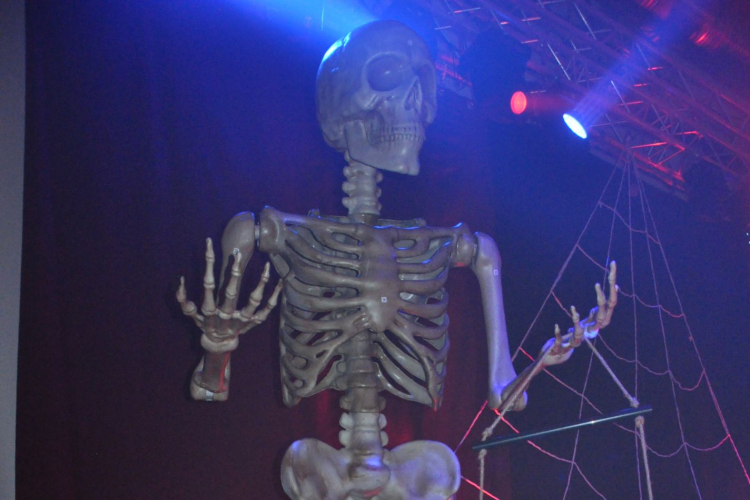 Halloween Party - Dia de los Muertos